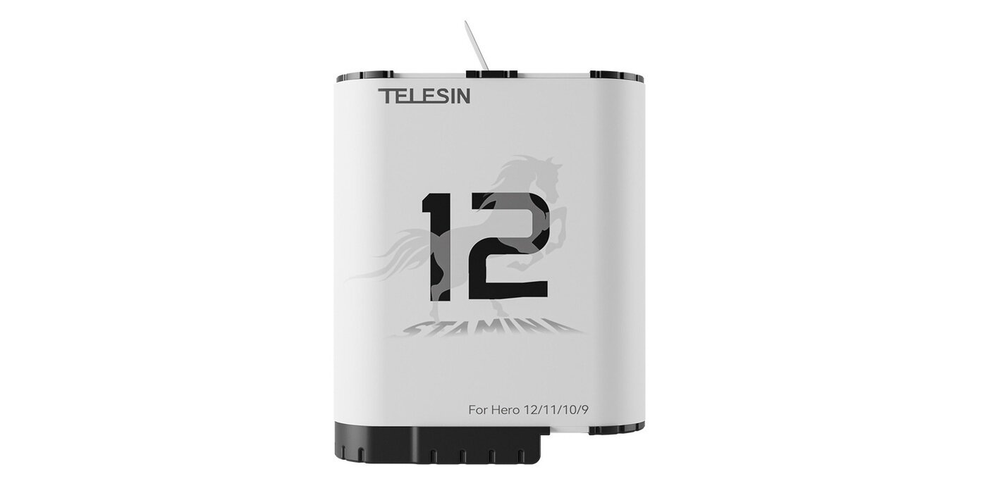 Зарядный бокс Telesin для батарей GoPro 10
